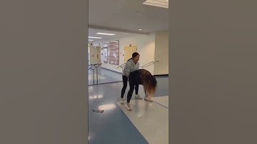 Wait for the end😂😂#vairalvideo #shorts #fails #funny #shortsfeed