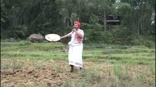 Part 18 Toraja Customs and Culture