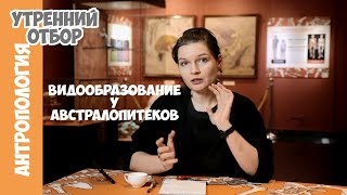 Новый взгляд на массивных австралопитеков. Елена Сударикова.