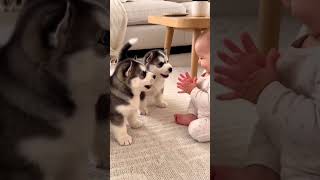 Tiny Human, Fluffy Friends