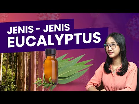 Video: Eucalyptus Tincture - Arahan, Penggunaan Untuk Penyedutan, Harga, Analog