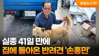 실종 41일 만에 집에 돌아온 반려견 '손홍민' / 연합뉴스TV (YonhapnewsTV)