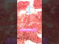 違いがわかるかな？牛肉
