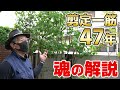 ＜庭木の剪定＞業歴47年の名匠が枝の選び方・植木の切り方を解説！【小形研三門下生・2年連続金賞】