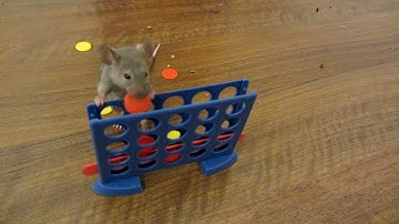 Trickmousing [Original]