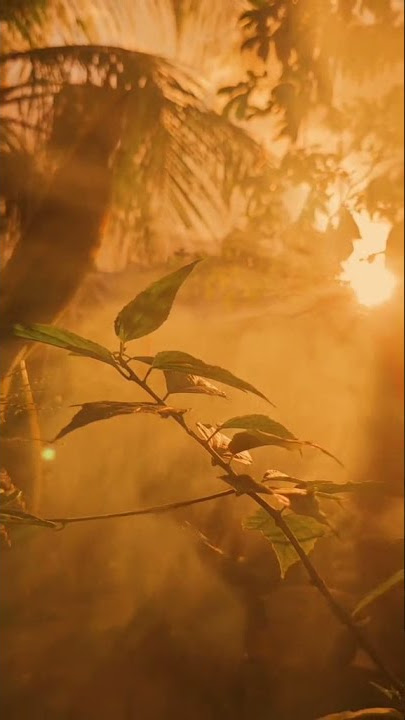 VIDEO CINEMATIC ALAM 30 DETIK TERBARU 2022 #shorts