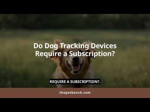 Watch: 5 Best Dog GPS Trackers with Real-World Range Tests