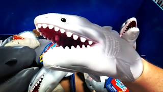 shark puppet at walmart