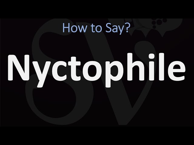 How to Pronounce Nyctophile? (CORRECTLY) class=