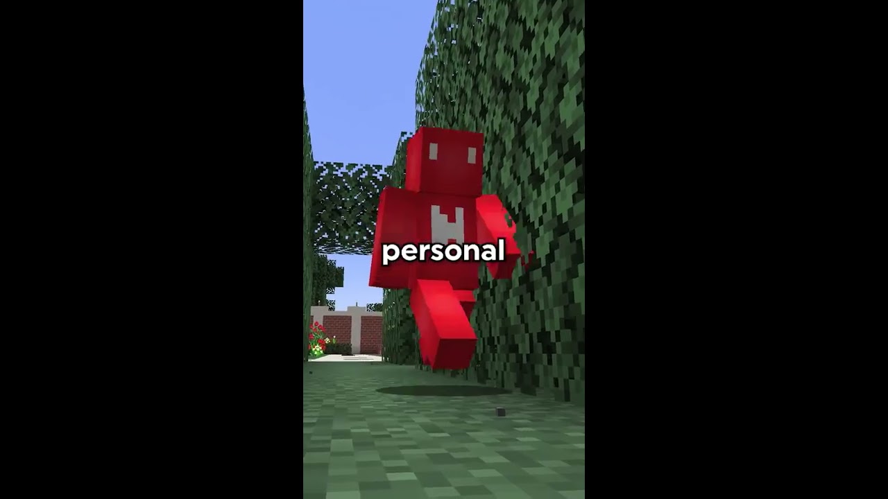 Minecraft S Illegal Blocks 