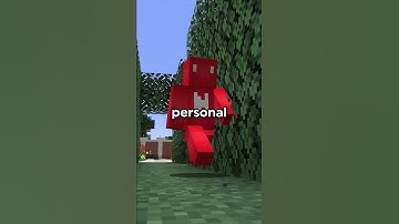 Minecraft’s “Illegal” Blocks!