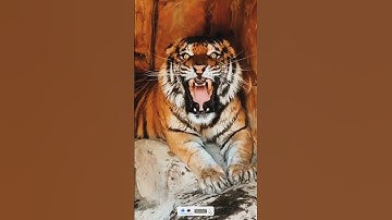 Thumbnail of Tiger Sounds Angry। #shorts #youtubeshorts #ytshorts #short