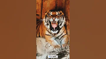 Tiger Sounds Angry Shorts Youtubeshorts Ytshorts Short 