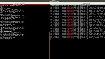 DoS vulnerability: cause resource exhaustion on Ubuntu whoopsie