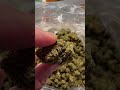 Bulk THCA Flower Documentary | How Direct Sourcing Changes Everything