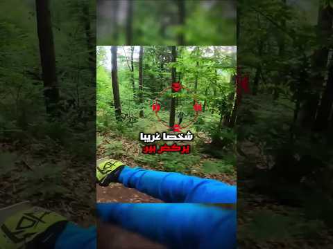 الدراج الذي اكتشف فخ ا في الغابة ونجا بخطة عبقرية