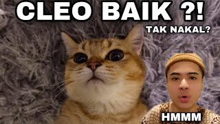 CLEO BAIK?!| KUCING YANG TAK NAKAL?!| MARI KITA LIHAT