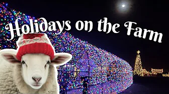 Beautiful lights and Animals at Parky's Farm! Holidays on the Farm is all BAAAAAA and no humbug!