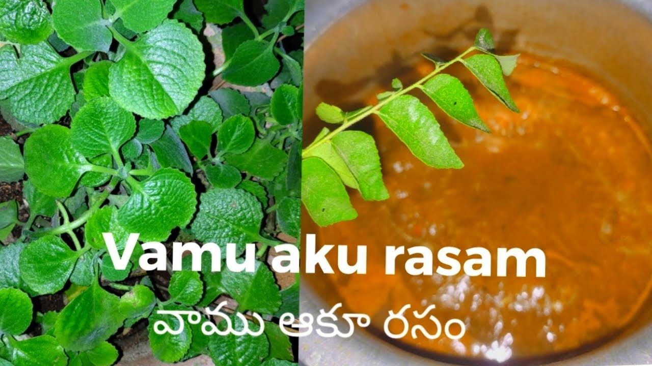 ajwain leaves rasamవాము ఆకూ రసం healthy rasam forదగ్గు,కోల్డ్ కి మంచి