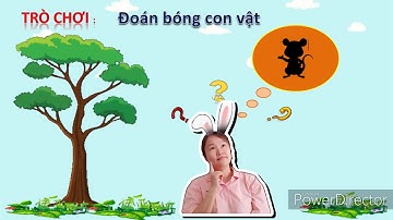 TRÒ CHƠI: ĐOÁN BÓNG CON VẬT