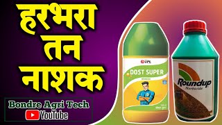 हरभरा पिकातील तन नाशक | Harbhara Tannashak | Dost Super | Panida Grande | हरभरा तन नियंत्रण