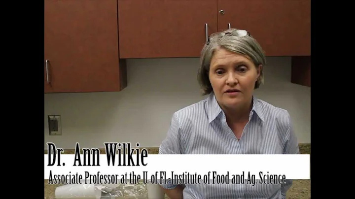 Interview with Dr.  Ann Wilkie