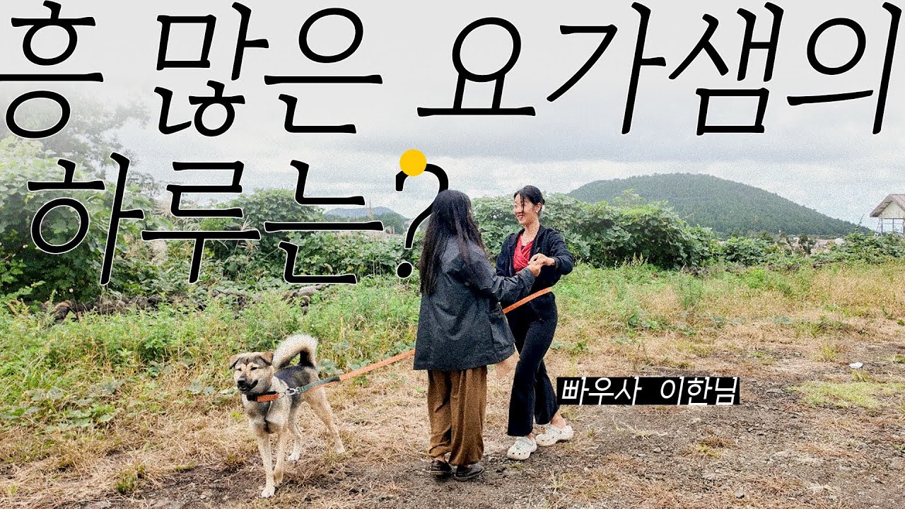 흥 많은 요가샘의 하루는? 빠우사 이한님