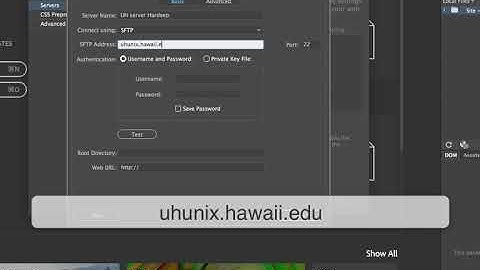 Setting up your UH server in Dreamweaver 2017