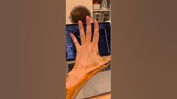 Human Segmentation + Shader Demo