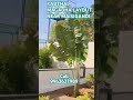 MAGADHA LAYOUT NEAR KADTHAL MAISIGANDI OPEN PLOTS AVAILABLE#dtcpreraopenplots#highwaydevelopmenplots