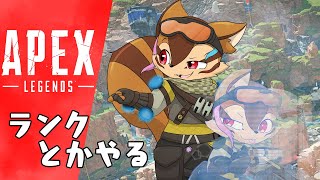 【配信】シーズン20をやるだけ【APEX】