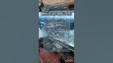 سورة آل عمران الآية ٤٨