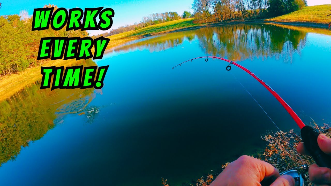 Fall Pond Fishing (Bass, Bluegill, and Crappie) YouTube