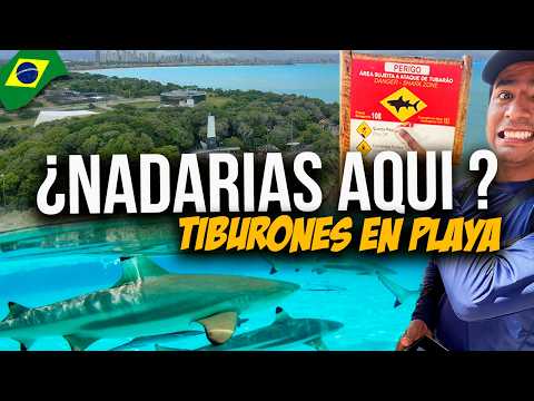 WHAT TO DO IN RECIFE; WE SAW THE FIRST SUNRISE IN THE ENTIRE AMERICAN CONTINENT | EP 10
