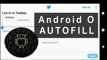 How to use AutoFill Feature of Android Oreo
