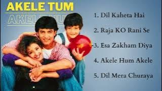 Akele Hum Akele Tum Movie All Songs  |Aamir Khan & Manisha Koirala| HINDI MOVIE SONGS