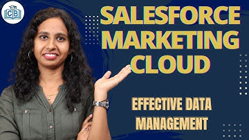 Effective Data Management in Salesforce Marketing Cloud | Salesforce Marketing Cloud | CyberBrainer
