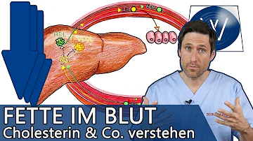 Wie kann man das gute Cholesterin erhöhen?