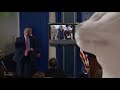 Donald Trump press conference (cat vibing Trump dance meme)