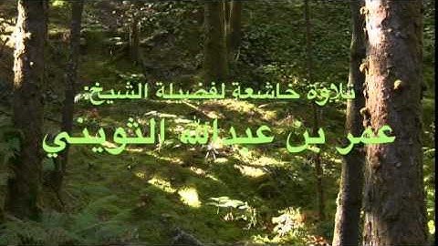 تلاوة من تراويح ليلة 19 من جامع معالي الشيخ ناصر العساف لفضيلة الشيخ عمر بن عبدالله الثويني