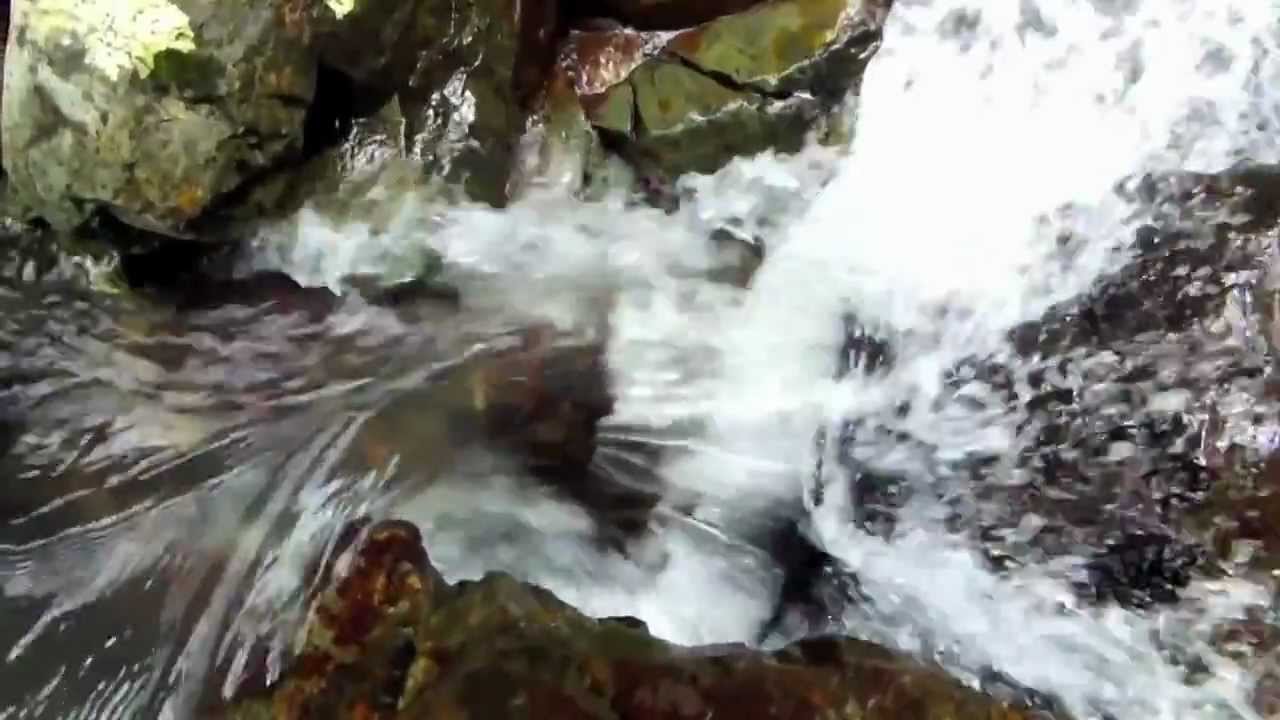 El Yunque, Puerto Rico