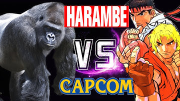 HARAMBE VS CAPCOM - HARAMBE VS RYU AND KEN - FIRST TO 2!