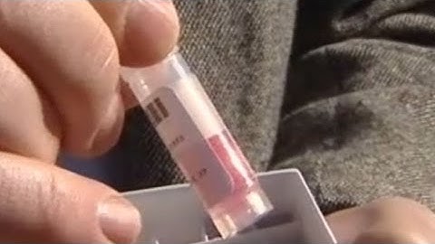 Virus Vanishes From University of Texas