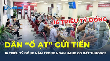 Dân "ồ ạt" GỬI TIỀN VÀO NGÂN HÀNG dù lãi suất giảm, lập kỷ lục 16  triệu tỷ đồng| CafeLand