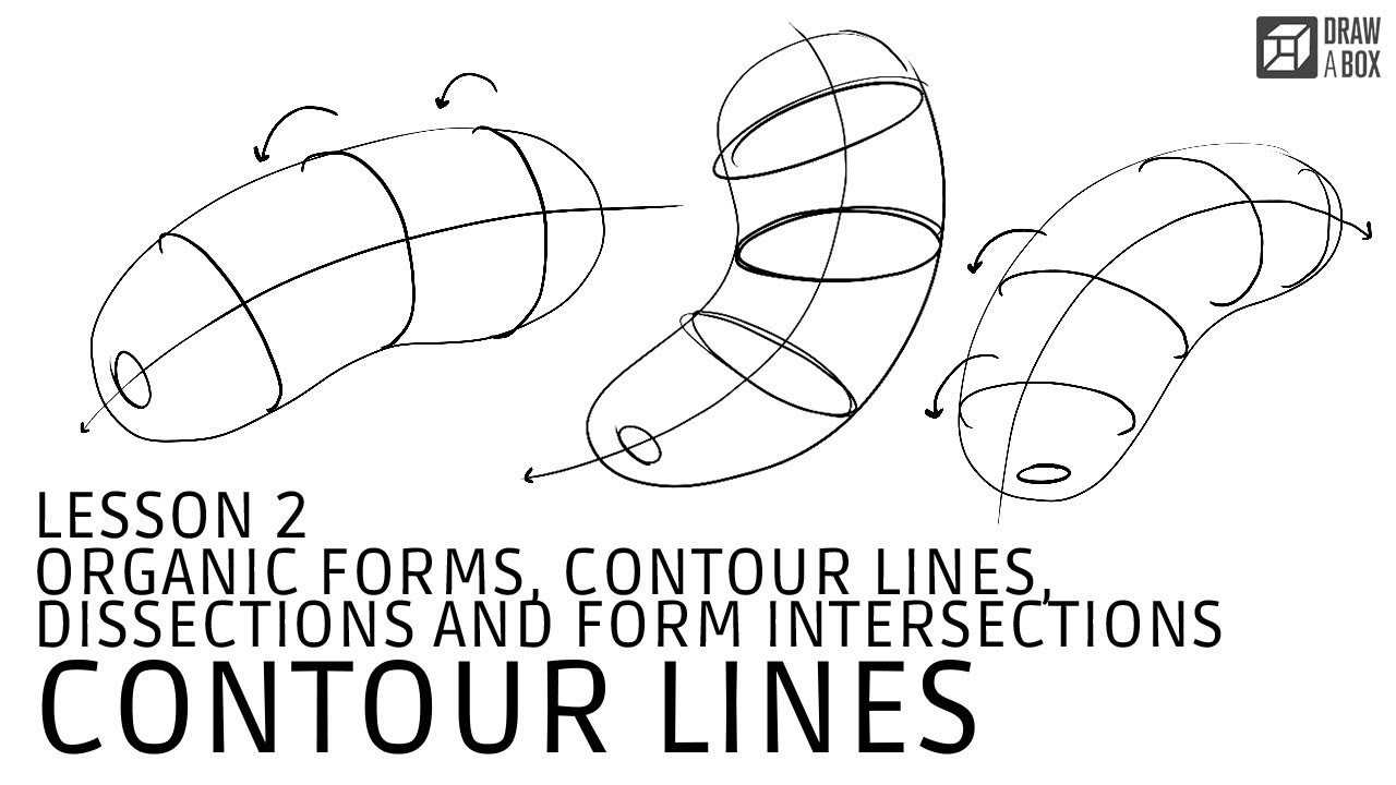 Exercise 2 – Contour Drawing Objects