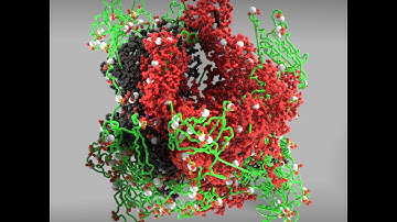 The Space filling Diagram || The Protein Toolkit || Houdini Tutorial