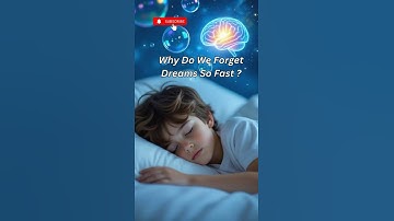 This Is Why You Can’t Remember Your Dreams 😴#youtubeshorts #reavel #solved #brain #forget #dream