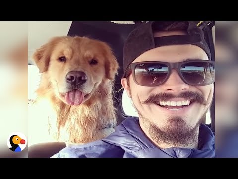 Dog Copies His Dad's Facial Expressions | The Dodo