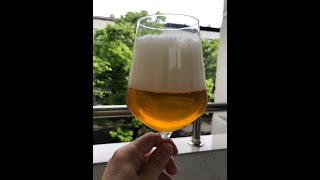 :     ,   Ibrew 40    .