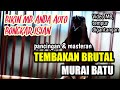 Pancingan Murai Batu Tembakan Brutal Mb Lain Auto Nyaut Bonngkar Isian Mp3 - Mp4 Download